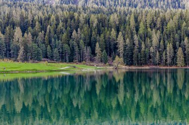 Gün ışığında sakin bir orman manzarasında yemyeşil ağaçları yansıtan sakin bir göl.