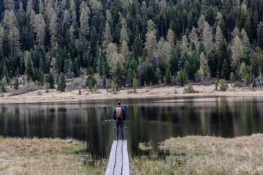 Çam ağaçlarıyla çevrili sakin bir göl kenarında tahta bir patikada duran bir insanın bulunduğu manzara.