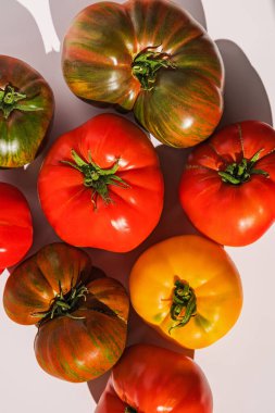 Taze yaz yadigarı Domatesleri Güneş Işığında