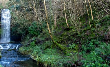 Glencar Şelalesi, İrlanda 'daki dağ, Leitrim İlçesi.
