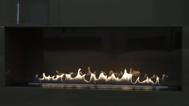 Спалювання Еко Біо Камін Етанолу Вбудований Меблі — стокове відео