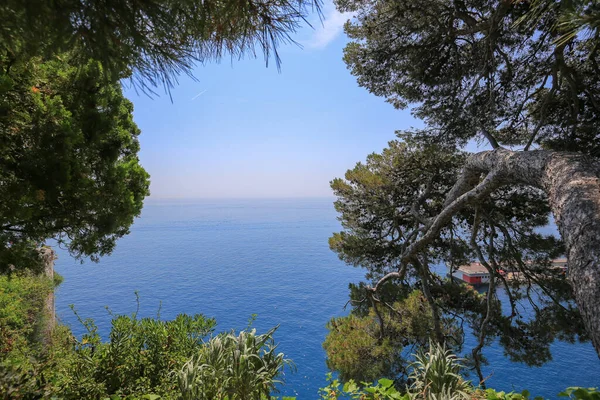 Sea View Park Monaco — Stock Photo, Image