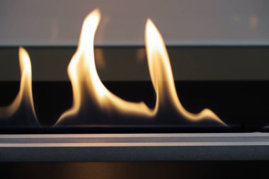 Yanan modern Eko Biyoetanol şöminesi