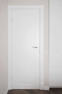 White interior door in the room