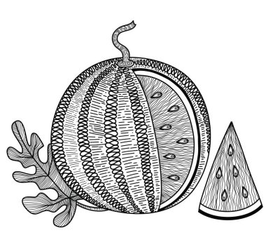 Watermelon vector illustration. Vector hand drawn abstract watermelon symbol isolated on white. Fresh tropical food black and white illustration.