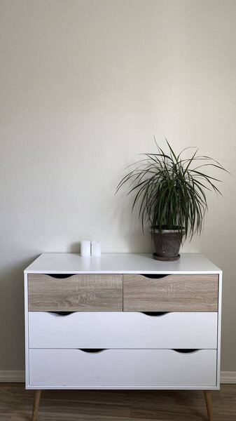 Modern nordic style dresser with flower pot on it in front of clean wall, minimalist scandinavian interior design