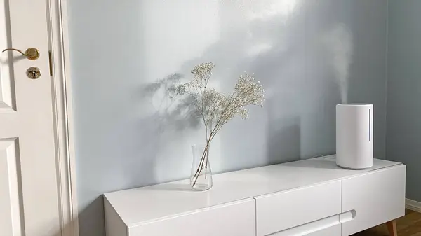 텔레비젼에 증기를 가습기는 거실에 있습니다 꽃병에 최소화 북유럽 인테리어 스타일 — 스톡 사진