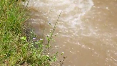 Yerden su fışkırıyor..