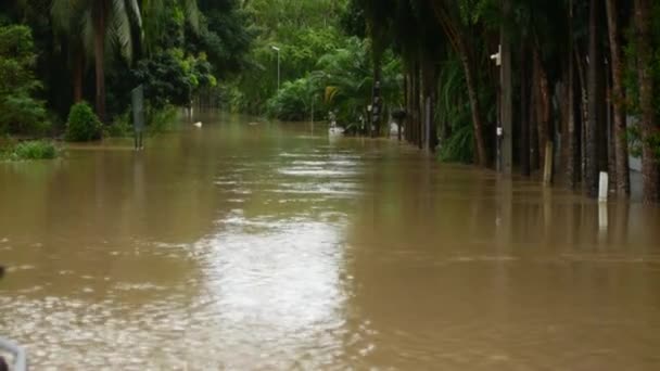 Les Conséquences Saison Des Pluies Thaïlande Les Rues Inondées Île — Video
