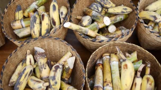 Pęczki Bananów Karmienia Słoni Wiklinowych Koszach — Wideo stockowe