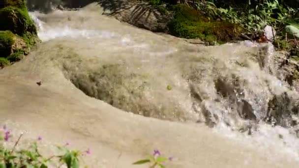 Pohled Bua Tong Lepkavý Vodopád Chiang Mai Thajsko Vysoký Úhel — Stock video