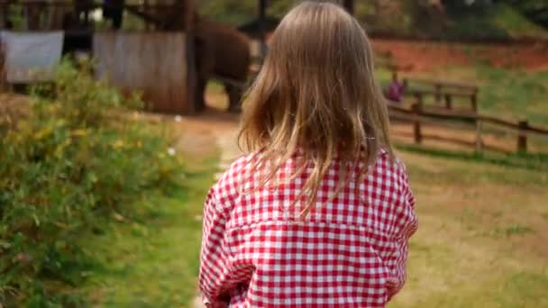 Elinde Muz Sepeti Olan Bir Kız Filleri Beslemeye Gider — Stok video