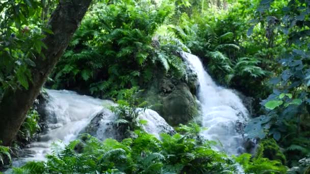 Uma Pequena Cachoeira Floresta Tropical — Vídeo de Stock