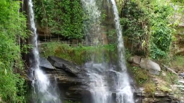 丛林中美丽的小瀑布 — 图库视频影像