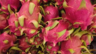 Canlı pembe ve yeşil renklerini sergileyen bol miktarda ejderha meyvesi sergilendi. Bu görüntüler tropikal meyveler, egzotik ürünler veya canlı ve renkli gıdalar ile ilgili projeler için mükemmeldir.