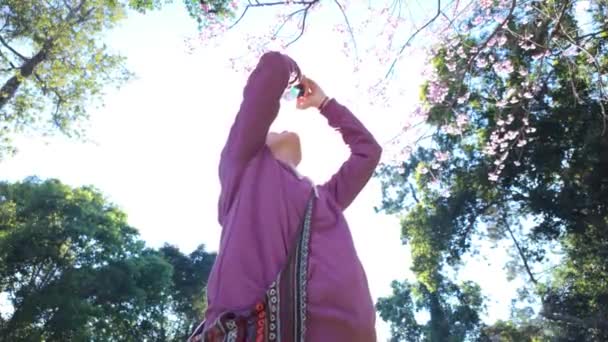 Sledujte Jak Mladá Dívka Zachycuje Přirozenou Krásu Stromu Parku Pomocí — Stock video