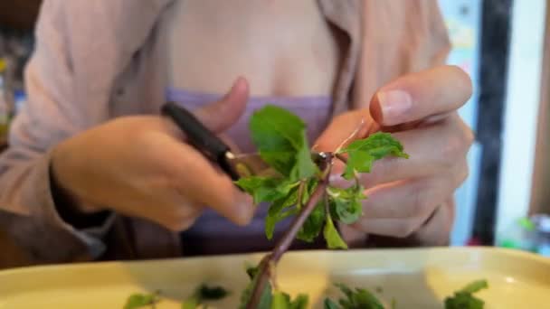 加入一个女人的行列吧 她用剪刀巧妙地把新鲜薄荷叶切碎在沙拉碗里 给菜里增添了一些风味和新鲜感 — 图库视频影像