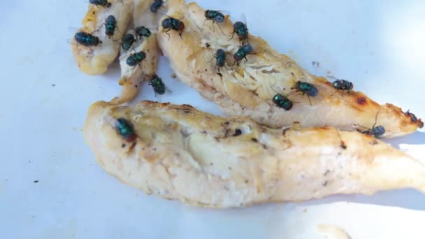 Witness Swarm Flies Descending Plate Cooked Chicken Highlighting Issue Food — Stock Video