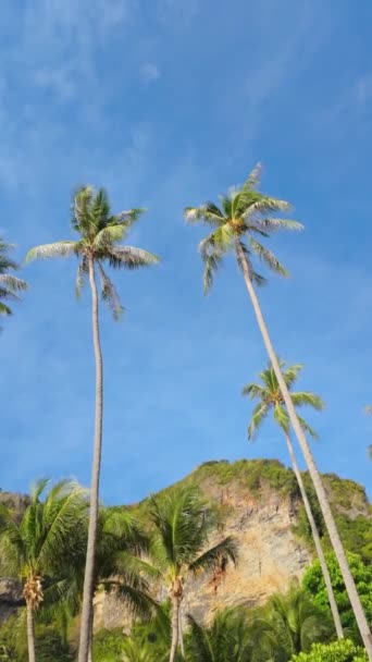 ヤシの木の集まりは 澄んだ青い空の背景に背が高く 熱帯の魅力に触れた美しい自然の風景を作り出しています — ストック動画