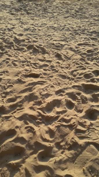 Крупный План Песка Пляже Показывает Замысловатые Узоры Сформированные Ветром Водой — стоковое видео