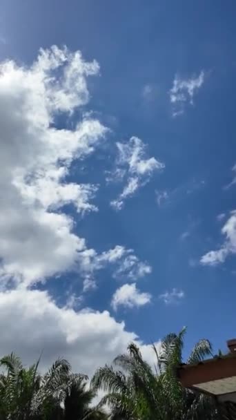 Pofuduk Bulutlarla Bezenmiş Canlı Şehvetli Bir Mavi Gökyüzünün Güzelliğine Dalmak — Stok video