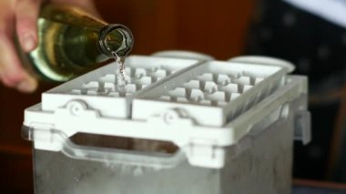 Buz kalıplarını şişeden suyla doldurma sürecine tanık olmak, buz küplerini soğutucu içeceklere hazırlamanın basit ve etkili bir yolunu gösteriyor.