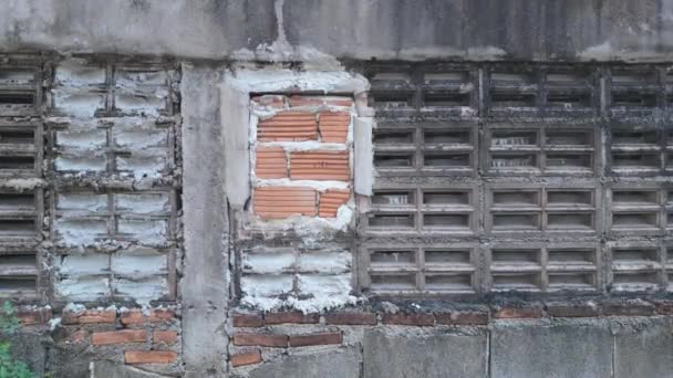 Explorez Charme Rustique Vieux Mur Avec Mélange Clôture Béton Briques — Video