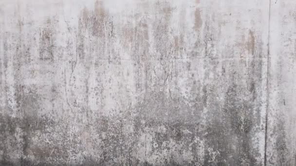 Struttura Robusta Muro Grunge Grigio Cemento Perfetto Come Sfondo Ambienti — Video Stock