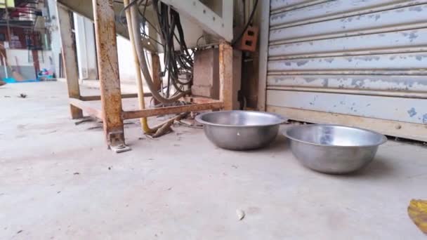 Gesto Compasivo Cuencos Agua Colocados Las Calles Ciudad Para Perros — Vídeo de stock
