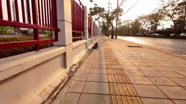 Şehir Kör Bir Yola Bitişik Bir Kaldırım Boyunca Yürüyor Düşünceli — Stok video