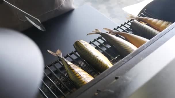 고등어의 절묘한 전통적인 하우스에서 요리사가 준비한 섬세함 물고기 흡연과 미식가 — 비디오