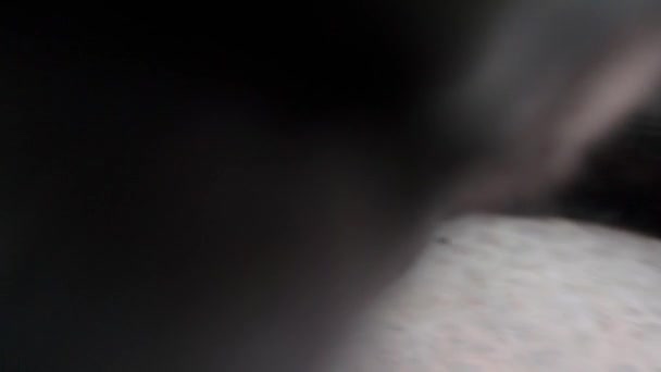 Завораживающий Взгляд Черной Кошки Лежащей Полу Морда Глаза Пленительно Изображены — стоковое видео