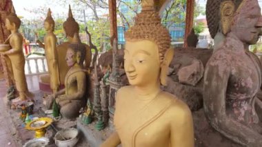 Muazzam bir Buda heykeliyle süslenmiş saygı değer bir tapınağın huzurlu atmosferini tecrübe edin. Buda 'nın doğum gününü anmak, huzur ve maneviyat yaymak için..