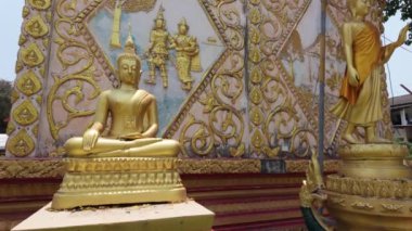 Buda heykellerinin kutsal güzelliğine tanık olun. Vesak 'taki tapınağı süsleyen, Buda' nın doğuşunu anan ve Budizm 'in özünü büyük bir saygıyla yayan..