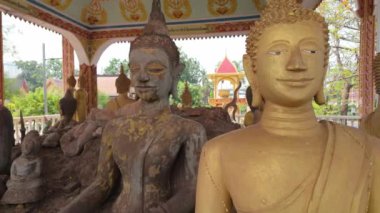 Muazzam bir Buda heykeliyle süslenmiş saygı değer bir tapınağın huzurlu atmosferini tecrübe edin. Buda 'nın doğum gününü anmak, huzur ve maneviyat yaymak için..