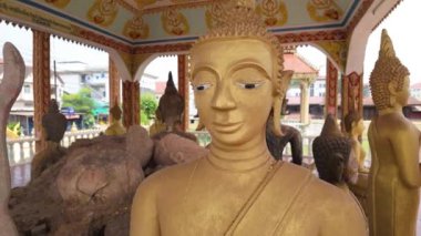 Muazzam bir Buda heykeliyle süslenmiş saygı değer bir tapınağın huzurlu atmosferini tecrübe edin. Buda 'nın doğum gününü anmak, huzur ve maneviyat yaymak için..
