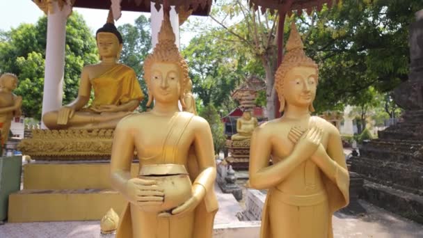Testemunhe Beleza Solene Das Estátuas Buda Adornando Templo Vesak Comemorando — Vídeo de Stock