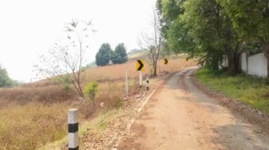 İkincil bir yol boyunca, yolculara yolculuklarında rehberlik eden yönlü oklu sarı bir yol tabelası duruyor. Seyrüsefer, yön bulma ve kırsal seyahat sahneleri için mükemmel..