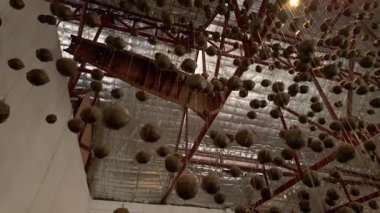 Bir misket bombasının ayrıntılı bir modeli, küçük bombardıman uçaklarının sergilendiği bir müzede sergileniyor. Askeri tarih ve silahlar hakkında eğitici içerik için ideal.