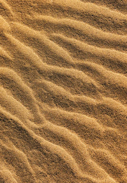 Cresta Del Vento Delle Dune Sabbia Fotografia Stock