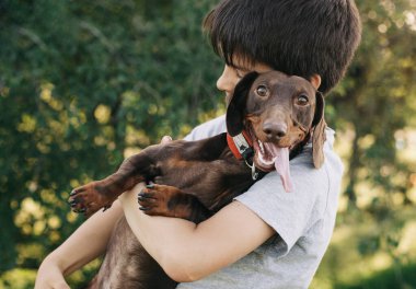 Dachshund köpeğine sarılırken gülümseyen bir çocuk. Çocukla evcil hayvanı arasındaki arkadaşlık anı mutluluk ve neşeyle doludur..