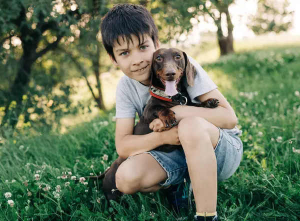男の子は プラハの公園で彼のハンチに座って ダクシャンドの子犬を抱きしめるように微笑む 子供と彼のペットの友情の瞬間は幸せと喜びで満たされています ストック写真