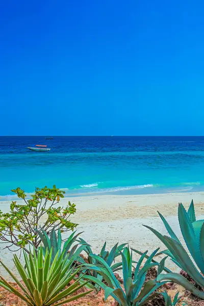 Kristalhelder Water Zanzibar Beach Tanzania Rechtenvrije Stockfoto's