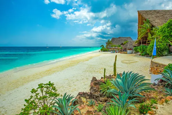 Kristalhelder Water Zanzibar Beach Tanzania Rechtenvrije Stockfoto's