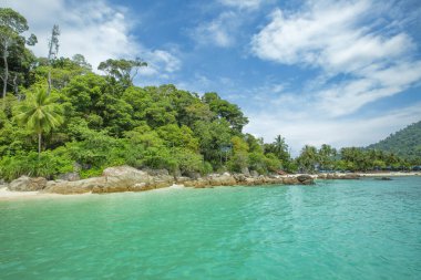 Beyaz kum ve kristal berrak su Teluk Pauh plajı, Perens adası, Malezya