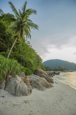 Beyaz kum ve kristal berrak su Teluk Pauh plajı, Perens adası, Malezya