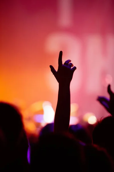 コンサートで幸せな音楽ファンのシルエット ダウンロードパーティーの人々のストックフォト — ストック写真