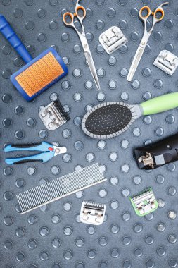 Professsional pet groomer tools in flat lay on table. Nails callipers, scissors, shaving machine and hair brushes for animal healt care and hygiene