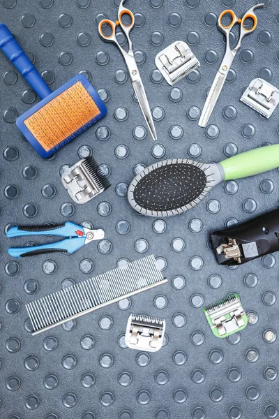 Professsional pet groomer tools in flat lay on table. Nails callipers, scissors, shaving machine and hair brushes for animal healt care and hygiene
