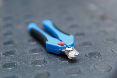 Kuaförde profesyonel tırnak makası. Pençe kırpmak için veteriner kliniği araçları